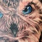 Tattoos - Black and Gray Owl Tattoo - 140177